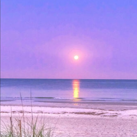 Meet your Posher, Tammie - Picture 5 of 9